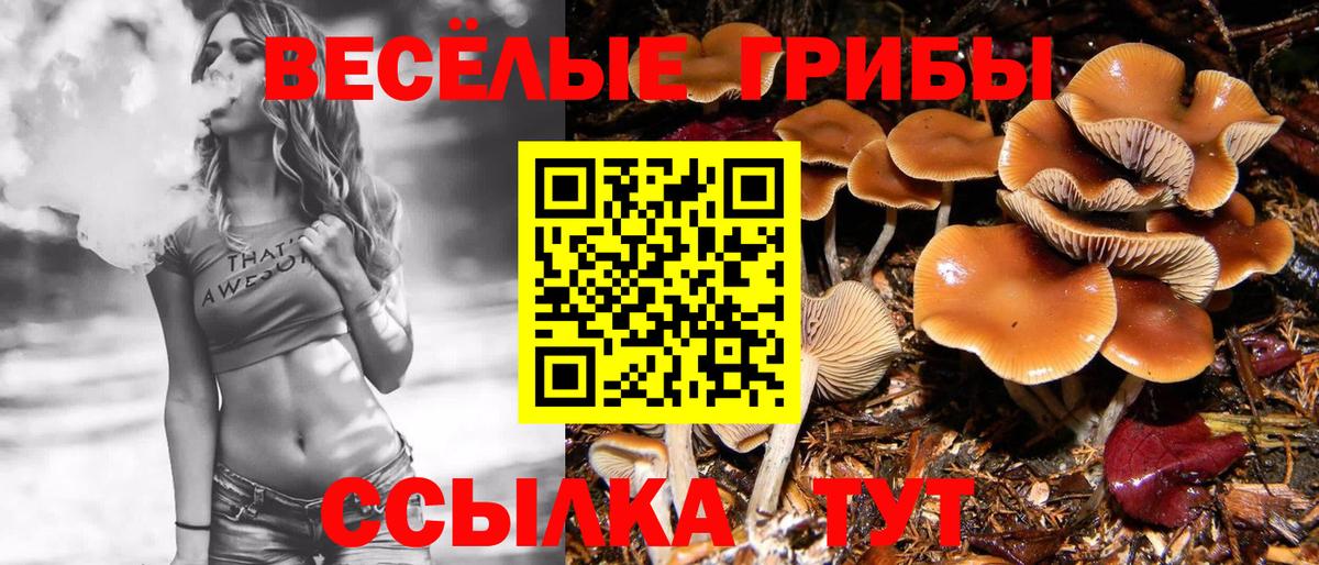 Пенза  Галлюциногенные грибы MAGIC MUSHROOMS  Вход с VPN 