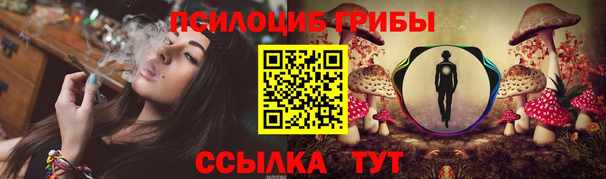 Псилоцибиновые грибы ЛСД Пенза